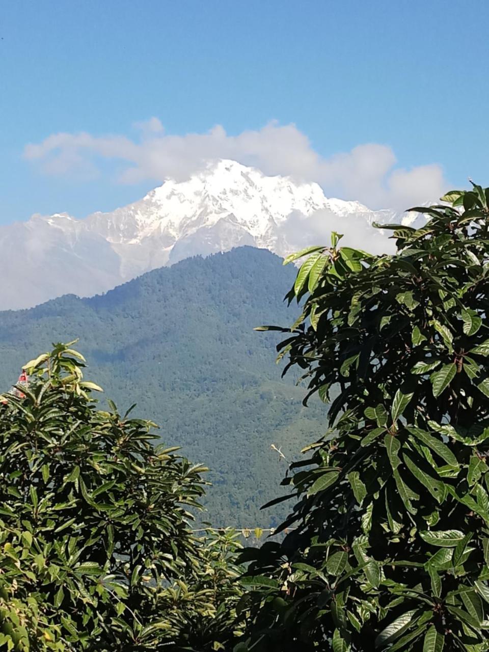 Hotel Lotus Inn Pokhara Eksteriør bilde