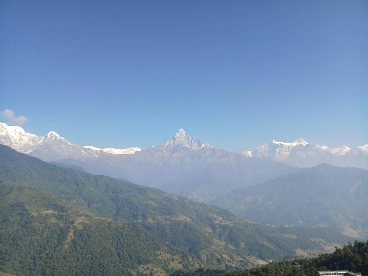 Hotel Lotus Inn Pokhara Eksteriør bilde