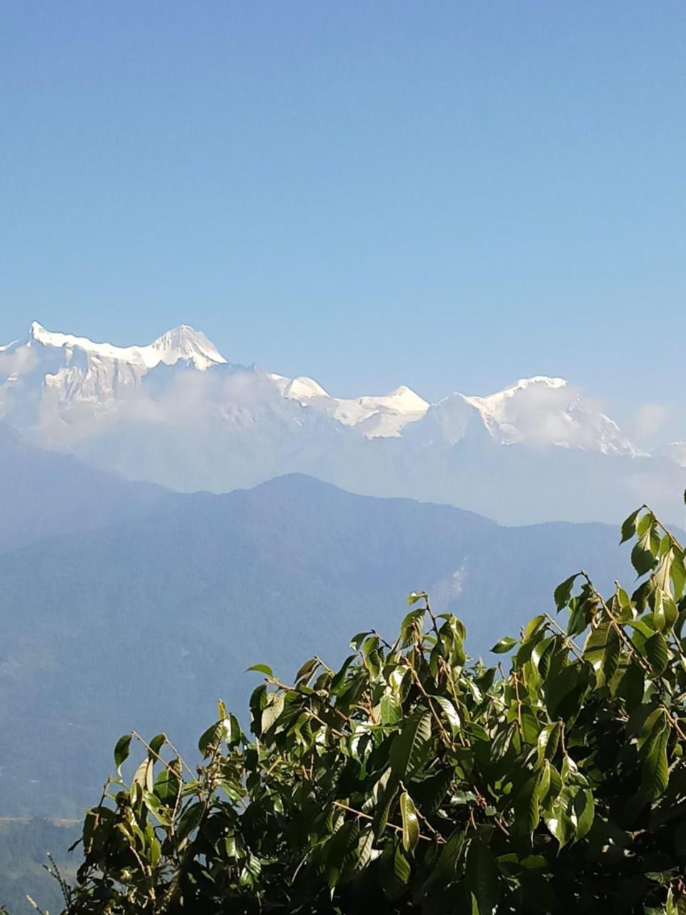 Hotel Lotus Inn Pokhara Eksteriør bilde